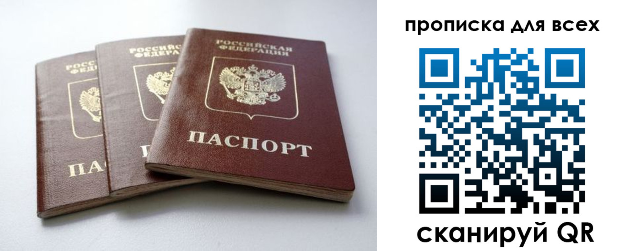 временная регистрация 2025 в Ельне